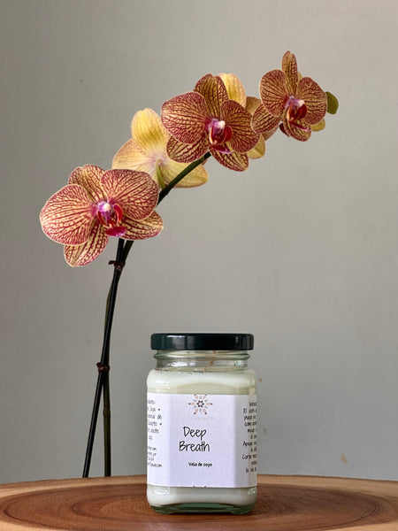 Aromatherapy Massage Candles